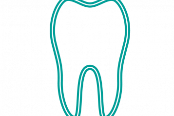 An infographic of a tooth