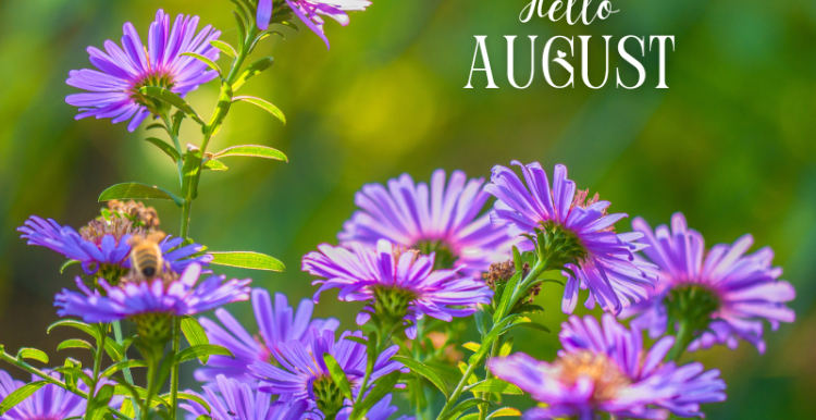 Hello August and flowers