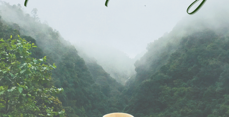 Hello February, mug on wall over looking view of mountains