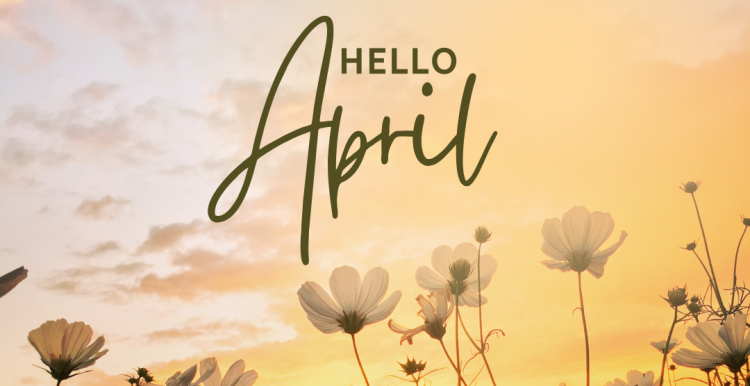 Hello April, spring flowers