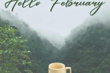 Hello February, mug on wall over looking view of mountains